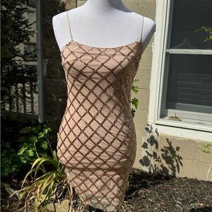 Showpo mesh sequence dress